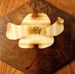 作品No6:ハナミズキ